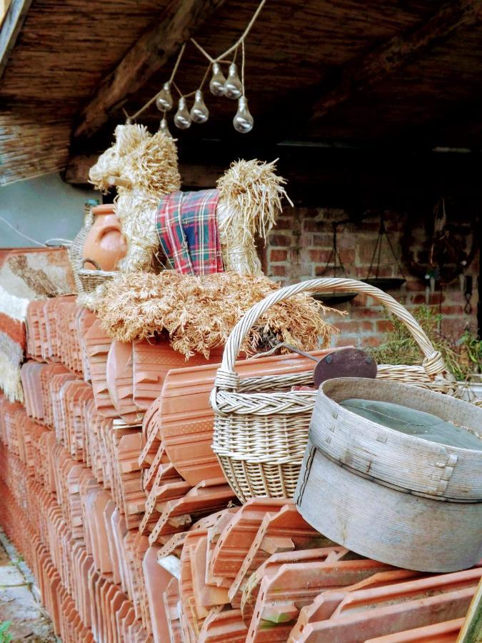 ホテル Mives Vendeghaz Pogány エクステリア 写真