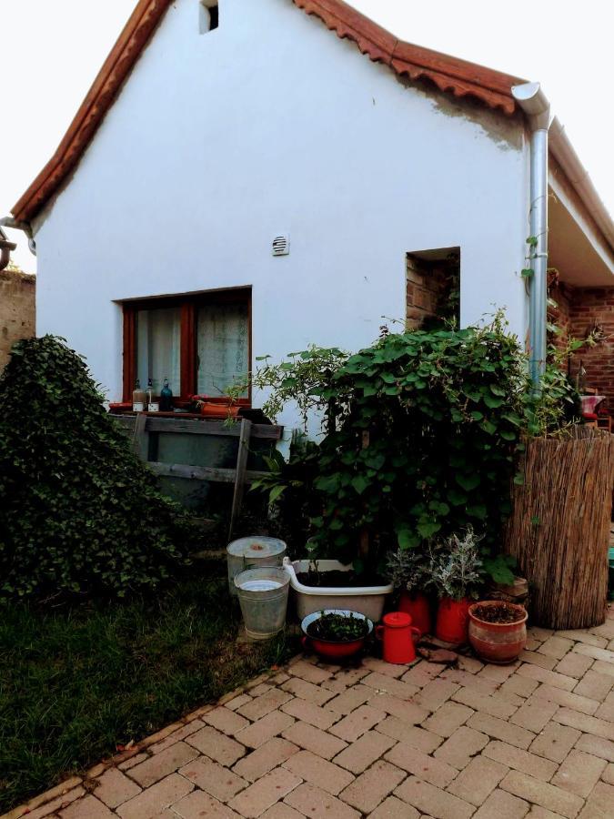 ホテル Mives Vendeghaz Pogány エクステリア 写真