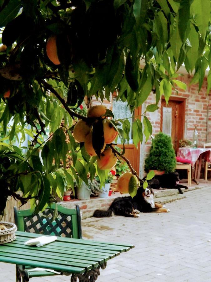 ホテル Mives Vendeghaz Pogány エクステリア 写真