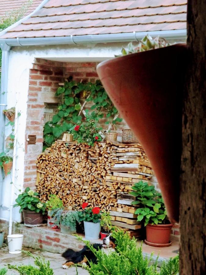 ホテル Mives Vendeghaz Pogány エクステリア 写真
